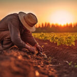 Cia Veneto: solo la politica può soccorrere gli agricoltori italiani